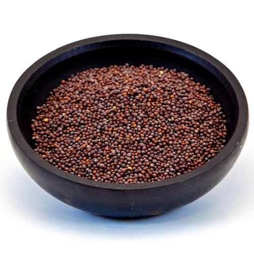Mustard Seed - Brown