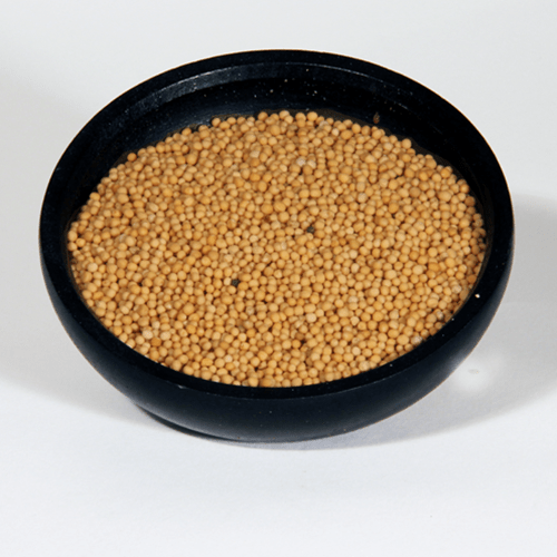 Mustard Seed - Yellow